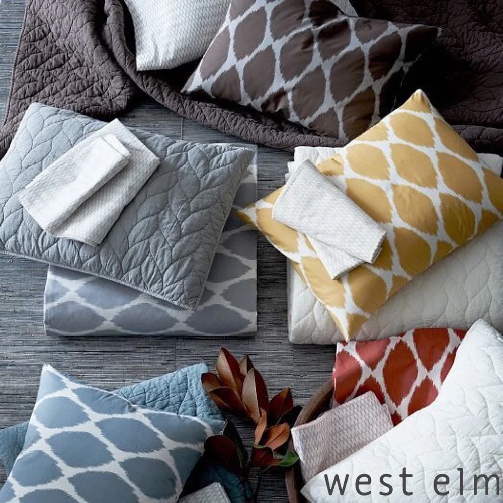 West Elm Organic Ikat Ogee Pillow Shams